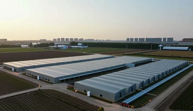 屋面防水材料的性能表现与施工条件分析